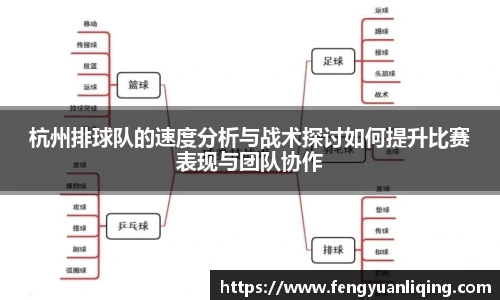 杭州排球队的速度分析与战术探讨如何提升比赛表现与团队协作